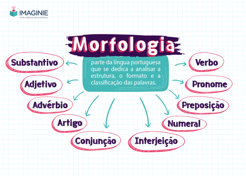 Morfologia