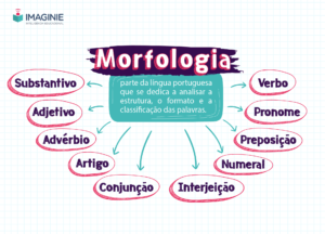 Morfologia